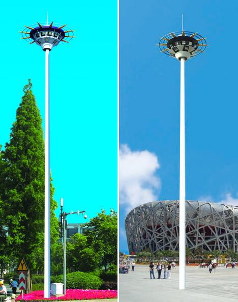 1555311768134013.jpg 15.jpg