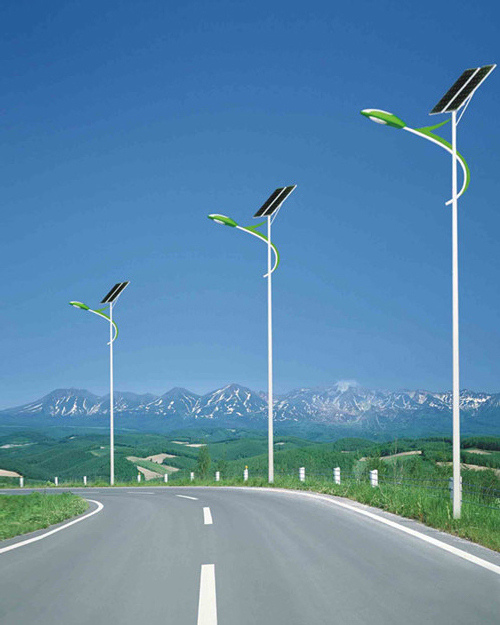 太陽(yáng)能路燈 TYN-008